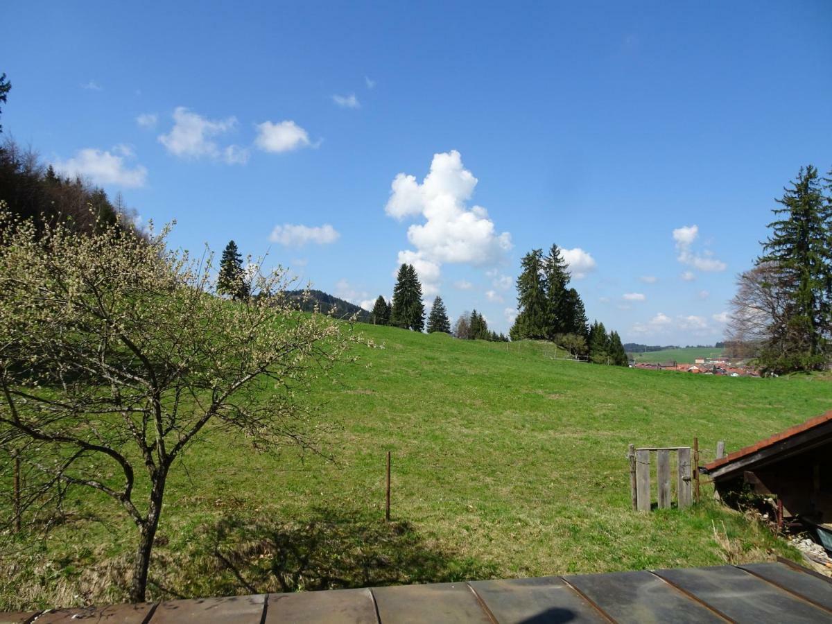 Villa Im Wald Roßhaupten Exteriör bild