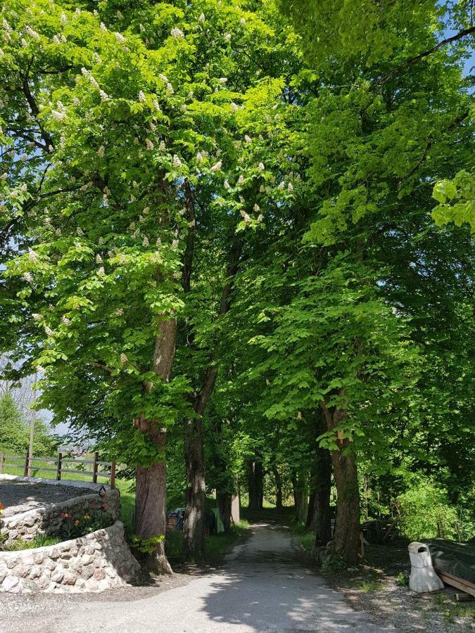 Villa Im Wald Roßhaupten Exteriör bild